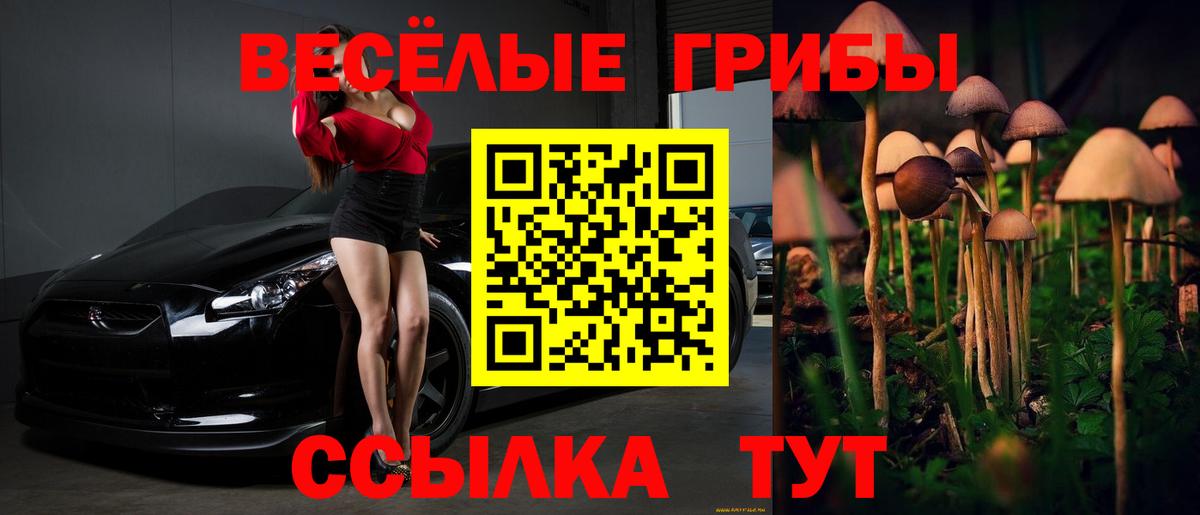 Псилоцибиновые грибы Magic Shrooms Усолье-Сибирское